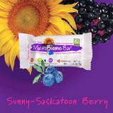 MicroBiome Bar® – Sunny-Saskatoon Berry - Box of 12 Bars – FREE Shipping – Discounts Available